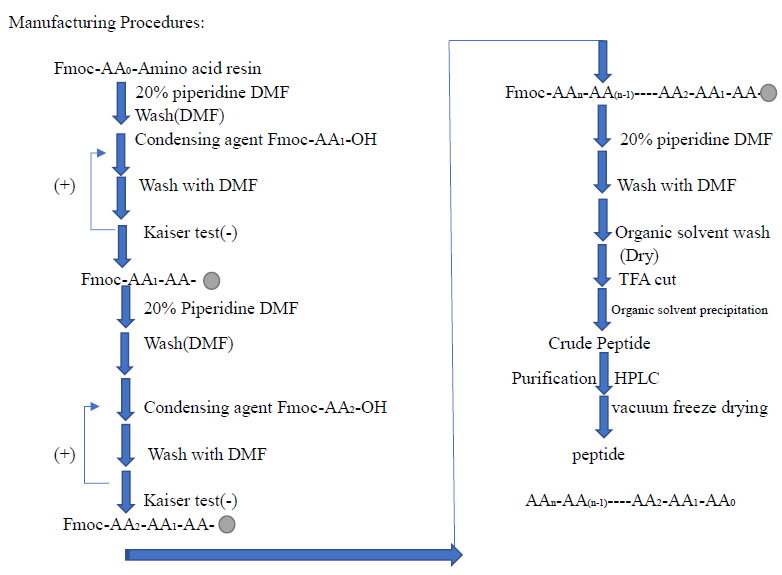 Peptide Synthesis Overview
