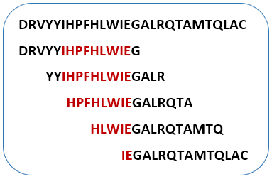 Synthetic Peptide Library