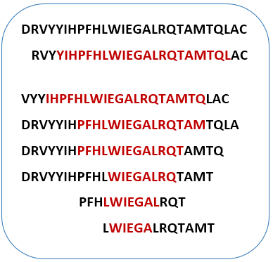 Synthetic Peptide Library
