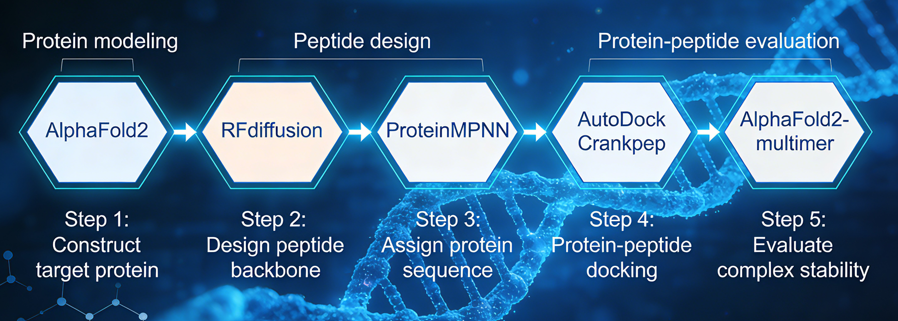 Peptide Optimization